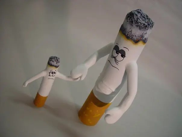 Model of characterised cigarettes